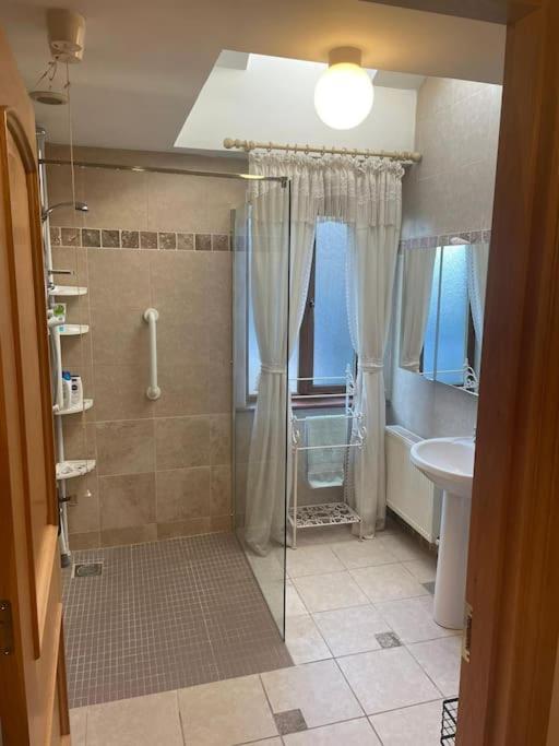 Borodino Studio Apartment Enniscorthy Buitenkant foto