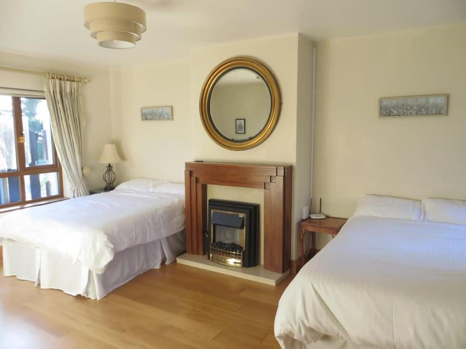 Borodino Studio Apartment Enniscorthy Buitenkant foto