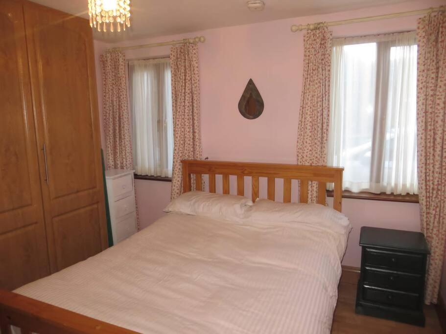 Borodino Studio Apartment Enniscorthy Buitenkant foto